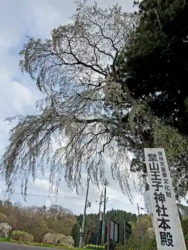 堂山王子神社のその他建物