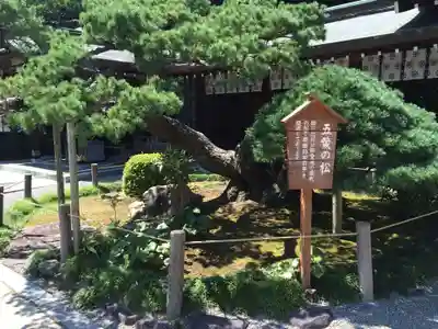 出水神社(熊本県)