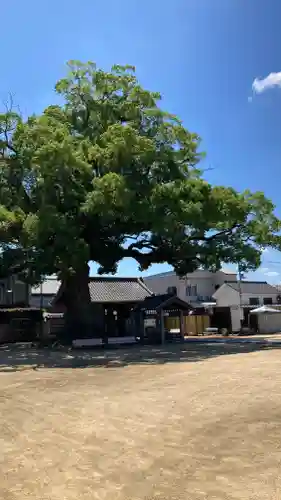 長尾寺(香川県)