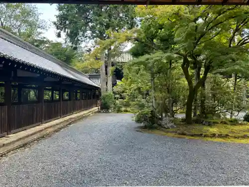 真正極楽寺（真如堂）の建物その他