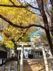 菅原神社(熊本県)