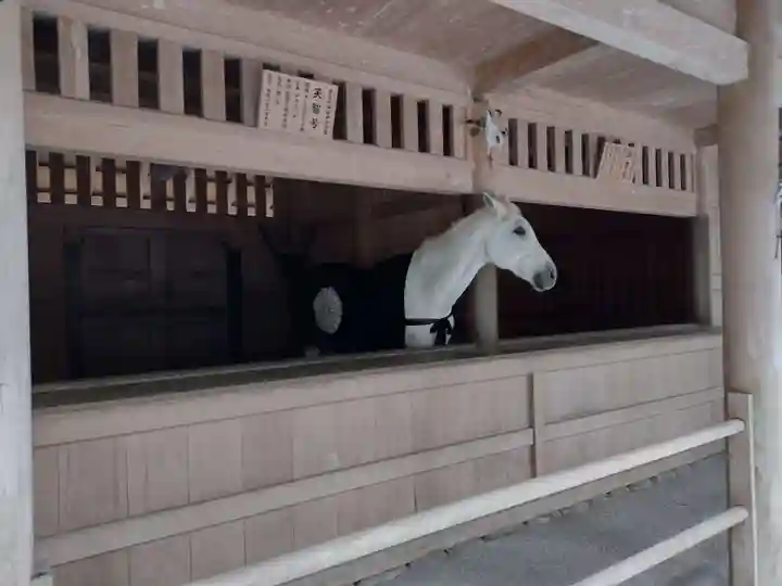 伊勢神宮外宮(豊受大神宮)(三重県)