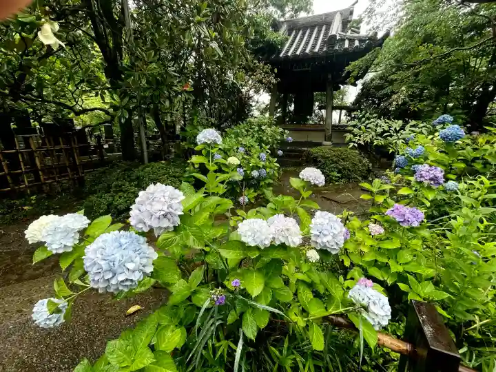 資福寺の{uncategorized: "未分類", other: "その他", undefined: "問題あり", building: "その他建物", grave: "お墓", sacred_gate: "鳥居", guardian: "狛犬", statue: "像", buddha: "仏像", history: "歴史", nature: "自然", garden: "庭園", animal: "動物", pagoda: "塔", temizu: "手水舎", mountain_gate: "山門・神門", sanctuary: "本殿・本堂", subordinate: "末社・摂社", art: "芸術", scenery: "景色", jizo: "地蔵", ema: "絵馬", goshuin: "御朱印", omikuji: "おみくじ", items: "授与品その他", amulet: "お守り", goshuincho: "御朱印帳", eats: "食事", festival: "お祭り", votive_dance: "神楽", shichigosan: "七五三参", wedding: "結婚式", experience: "体験その他", initially: "初詣", around: "周辺", anti_infection: "感染症対策"}