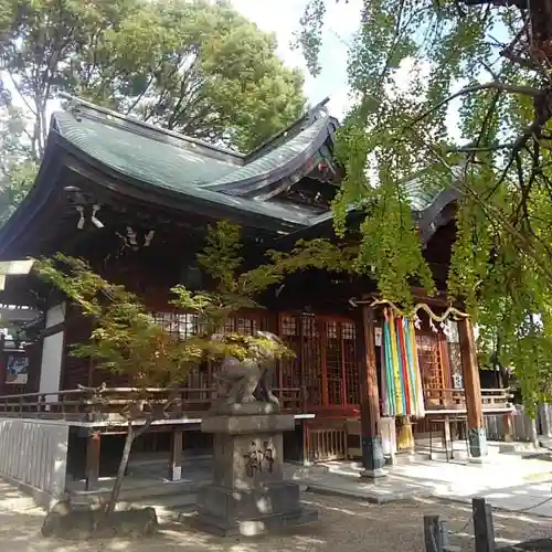 白山神社の本殿・本堂