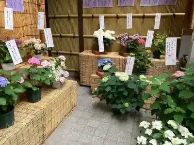 十番稲荷神社(東京都)
