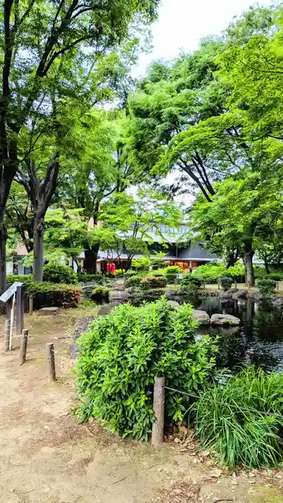 増上寺塔頭 三縁山 宝珠院の自然