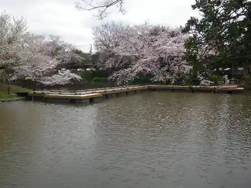 鶴岡八幡宮の庭園