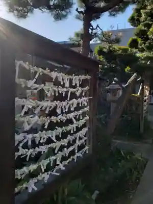 鳩森八幡神社のおみくじ