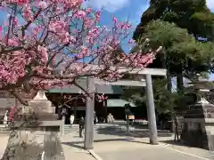 射水神社の鳥居