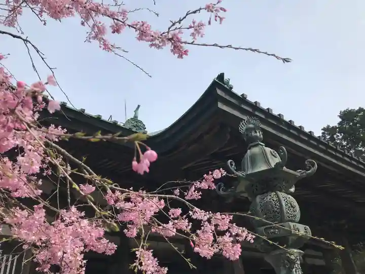 施福寺の自然