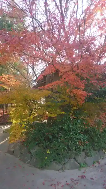 八重垣神社(島根県)