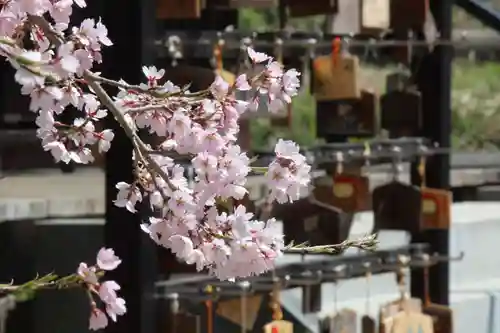 国宝 大法寺の自然