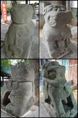 穏田神社の狛犬