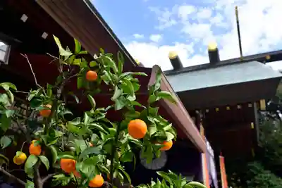 東京大神宮(東京都)