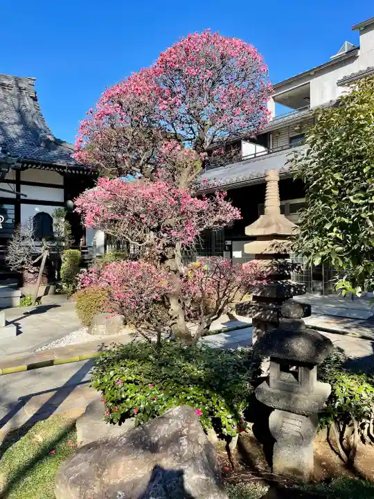 無量寺(東京都)