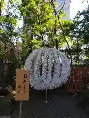 乃木神社のおみくじ