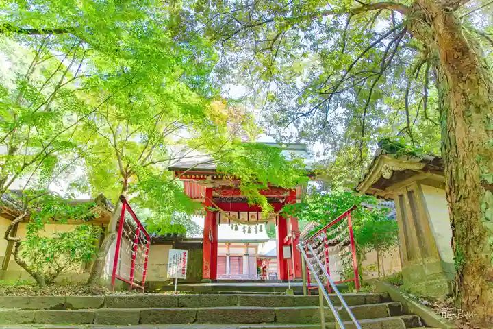 柞原八幡宮(大分県)
