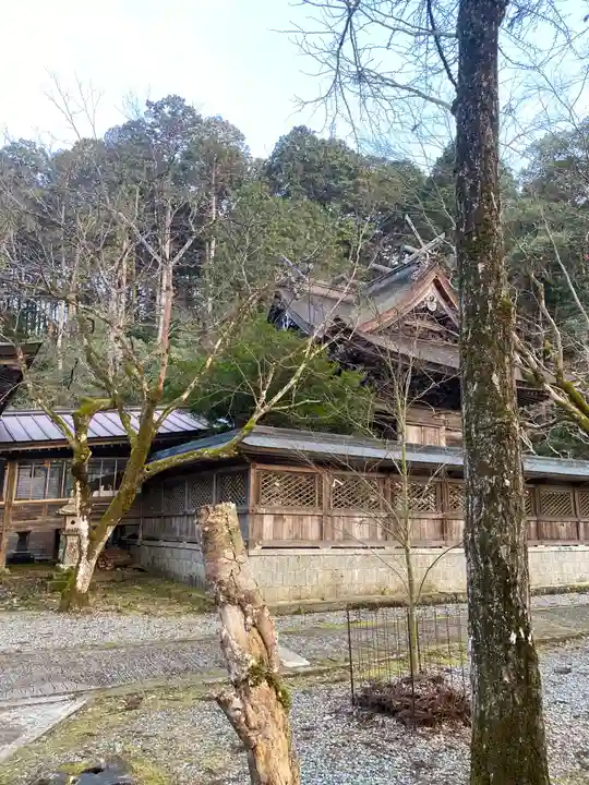 養父神社(兵庫県)