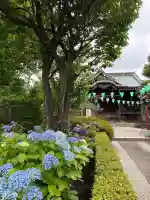 白山神社(東京都)