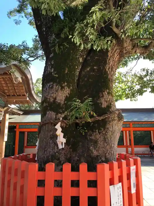 宇佐神宮の自然