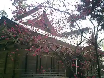 御霊神社の本殿・本堂