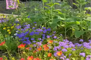 高司神社〜むすびの神の鎮まる社〜(福島県)(2023年07月29日(土) 15時38分54秒投稿)