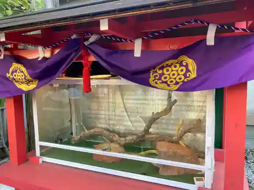 蛇窪神社(東京都)