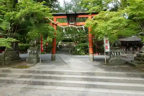 鍬山神社の鳥居