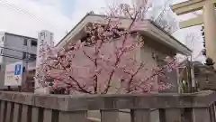 阿豆佐味天神社 立川水天宮の自然