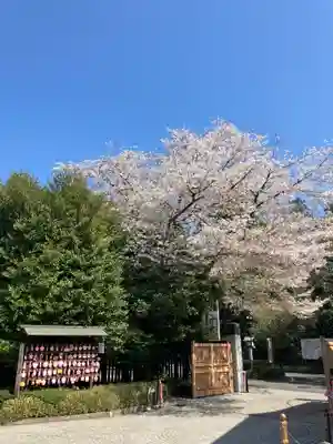 櫻木神社(千葉県)