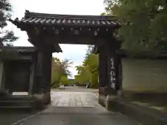 仁和寺(京都府)