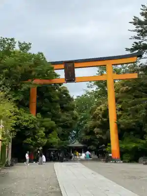 川越氷川神社の{uncategorized: "未分類", other: "その他", undefined: "問題あり", building: "その他建物", grave: "お墓", sacred_gate: "鳥居", guardian: "狛犬", statue: "像", buddha: "仏像", history: "歴史", nature: "自然", garden: "庭園", animal: "動物", pagoda: "塔", temizu: "手水舎", mountain_gate: "山門・神門", sanctuary: "本殿・本堂", subordinate: "末社・摂社", art: "芸術", scenery: "景色", jizo: "地蔵", ema: "絵馬", goshuin: "御朱印", omikuji: "おみくじ", items: "授与品その他", amulet: "お守り", goshuincho: "御朱印帳", eats: "食事", festival: "お祭り", votive_dance: "神楽", shichigosan: "七五三参", wedding: "結婚式", experience: "体験その他", initially: "初詣", around: "周辺", anti_infection: "感染症対策"}