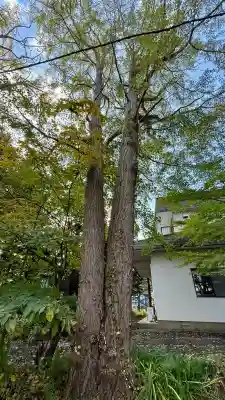 有川大神宮(北海道)