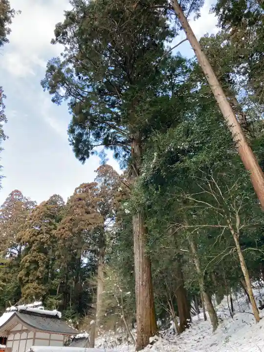御形神社(兵庫県)