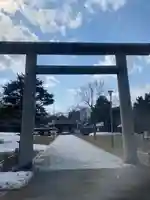 札幌護國神社の鳥居