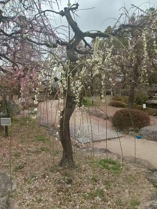防府天満宮(山口県)