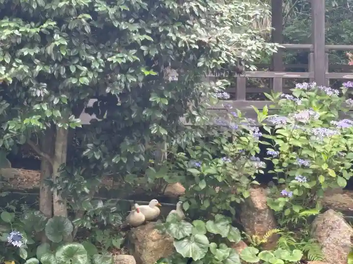 楽法寺(雨引観音)の{uncategorized: "未分類", other: "その他", undefined: "問題あり", building: "その他建物", grave: "お墓", sacred_gate: "鳥居", guardian: "狛犬", statue: "像", buddha: "仏像", history: "歴史", nature: "自然", garden: "庭園", animal: "動物", pagoda: "塔", temizu: "手水舎", mountain_gate: "山門・神門", sanctuary: "本殿・本堂", subordinate: "末社・摂社", art: "芸術", scenery: "景色", jizo: "地蔵", ema: "絵馬", goshuin: "御朱印", omikuji: "おみくじ", items: "授与品その他", amulet: "お守り", goshuincho: "御朱印帳", eats: "食事", festival: "お祭り", votive_dance: "神楽", shichigosan: "七五三参", wedding: "結婚式", experience: "体験その他", initially: "初詣", around: "周辺", anti_infection: "感染症対策"}