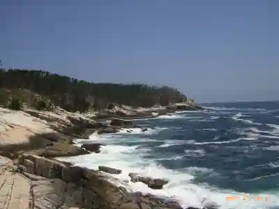 金華山黄金山神社(宮城県)