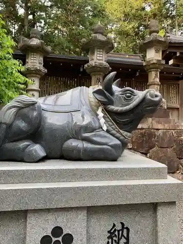 瀧樹神社の狛犬