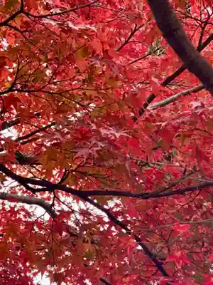 月橋院(京都府)