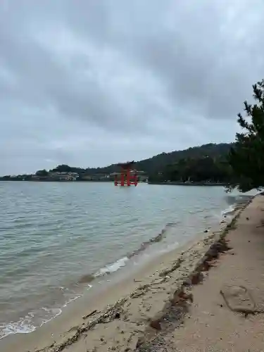 厳島神社の{uncategorized: "未分類", other: "その他", undefined: "問題あり", building: "その他建物", grave: "お墓", sacred_gate: "鳥居", guardian: "狛犬", statue: "像", buddha: "仏像", history: "歴史", nature: "自然", garden: "庭園", animal: "動物", pagoda: "塔", temizu: "手水舎", mountain_gate: "山門・神門", sanctuary: "本殿・本堂", subordinate: "末社・摂社", art: "芸術", scenery: "景色", jizo: "地蔵", ema: "絵馬", goshuin: "御朱印", omikuji: "おみくじ", items: "授与品その他", amulet: "お守り", goshuincho: "御朱印帳", eats: "食事", festival: "お祭り", votive_dance: "神楽", shichigosan: "七五三参", wedding: "結婚式", experience: "体験その他", initially: "初詣", around: "周辺", anti_infection: "感染症対策"}