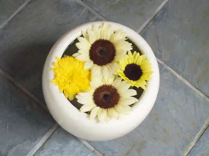 立志神社(滋賀県)