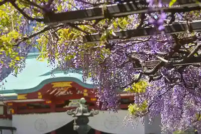 日枝神社(東京都)