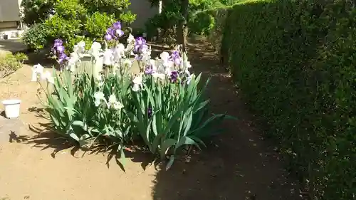 伏木香取神社の自然
