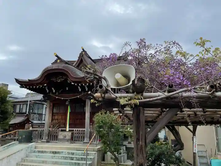 安方神社の本殿・本堂