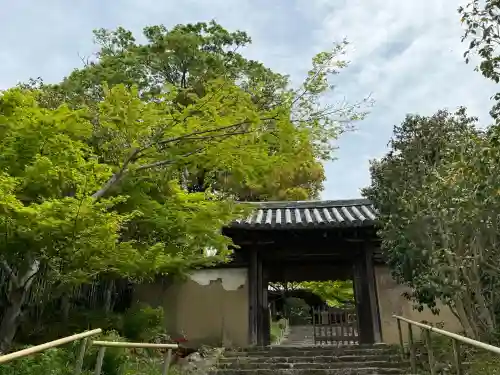 白毫寺の{uncategorized: "未分類", other: "その他", undefined: "問題あり", building: "その他建物", grave: "お墓", sacred_gate: "鳥居", guardian: "狛犬", statue: "像", buddha: "仏像", history: "歴史", nature: "自然", garden: "庭園", animal: "動物", pagoda: "塔", temizu: "手水舎", mountain_gate: "山門・神門", sanctuary: "本殿・本堂", subordinate: "末社・摂社", art: "芸術", scenery: "景色", jizo: "地蔵", ema: "絵馬", goshuin: "御朱印", omikuji: "おみくじ", items: "授与品その他", amulet: "お守り", goshuincho: "御朱印帳", eats: "食事", festival: "お祭り", votive_dance: "神楽", shichigosan: "七五三参", wedding: "結婚式", experience: "体験その他", initially: "初詣", around: "周辺", anti_infection: "感染症対策"}