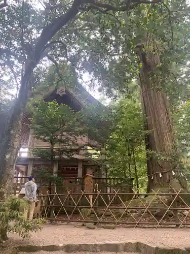 須佐神社(島根県)