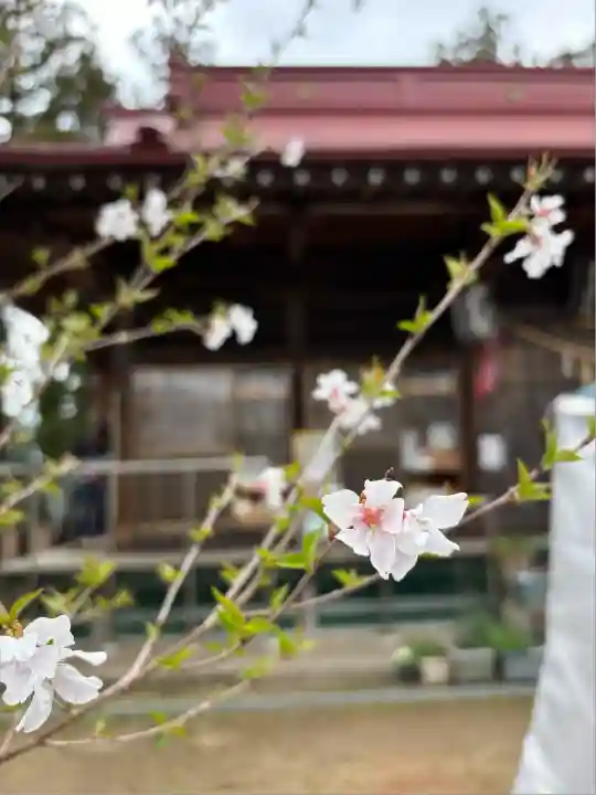 岡部春日神社~👹鬼門よけの🌺花咲く🌺やしろ~(福島県)