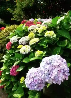 福王山  慈眼寺の自然