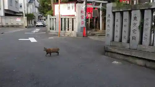 品川貴船神社の動物